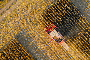 Crop and Grain Drying