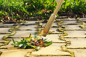 Weed Control